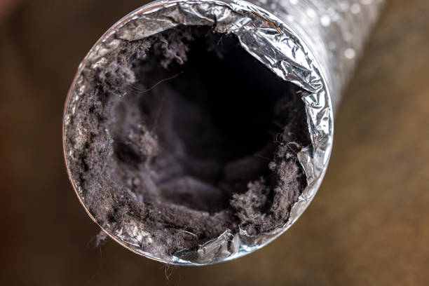 Best Home Air Vent Cleaning  in Brewer, ME